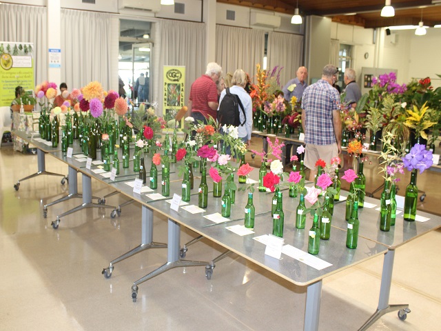 Display Table Roses