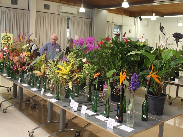 Display Plants