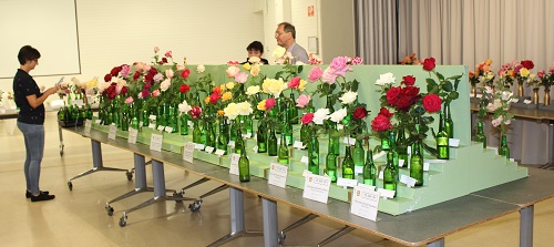 Queensland Rose Society Rose Show