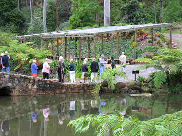 Tamborine The Creek 2 24 3 09